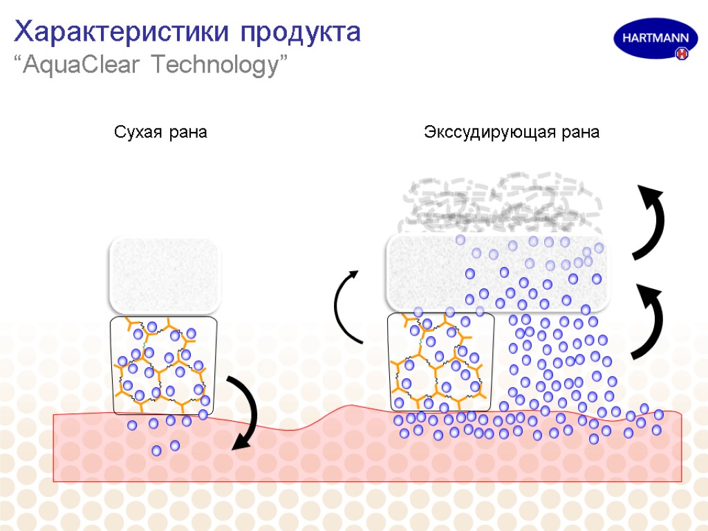 Характеристики продукта “AquaClear Technology” Сухая рана Экссудирующая рана